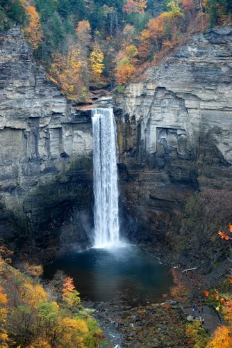 Bus Tours Through The Finger Lakes Region With Hayfield Quality Tours